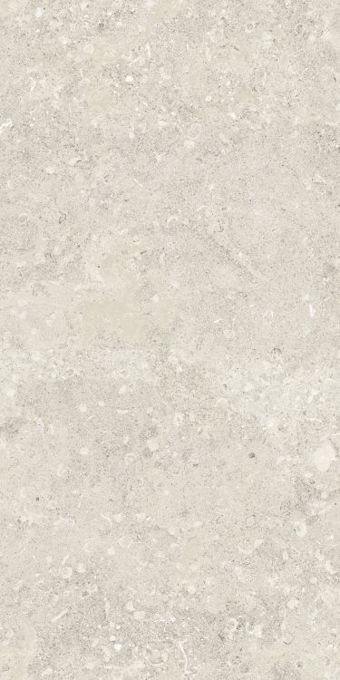 Sea Luster Avorio Matte 24 x 48